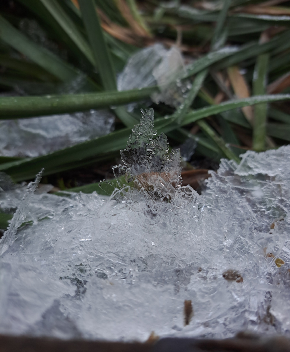 photography-10.jpg
