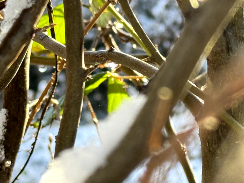 photography-7.jpg