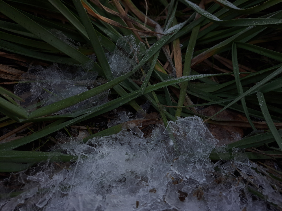 photography-9.jpg